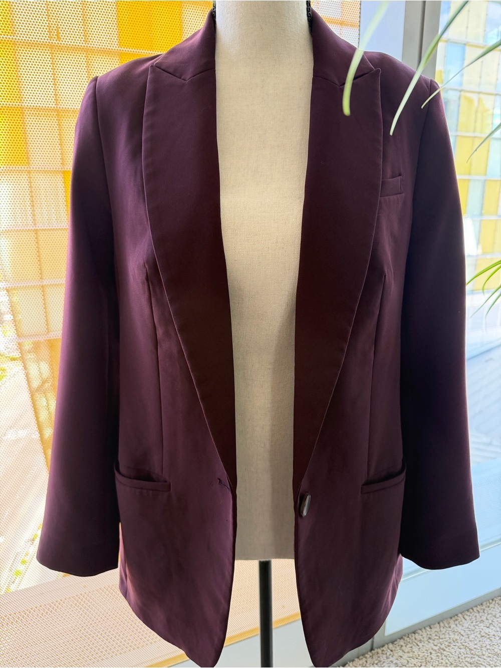 EXPRESS Plum Blazer
